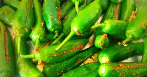 stuffed-green-chilli-pickle_looking for distributors
